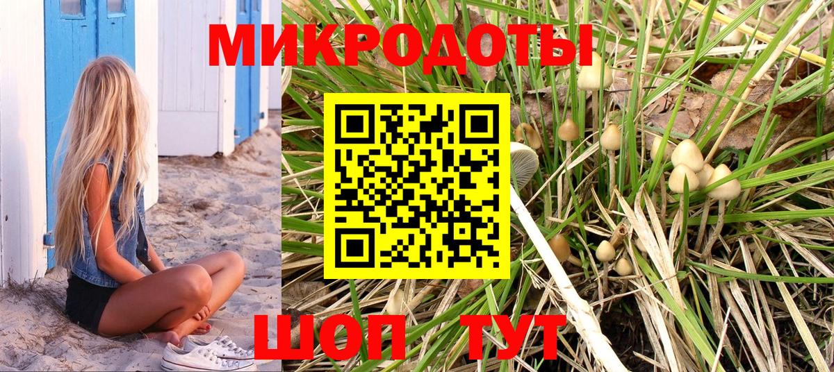 Псилоцибиновые грибы MAGIC MUSHROOMS Пенза