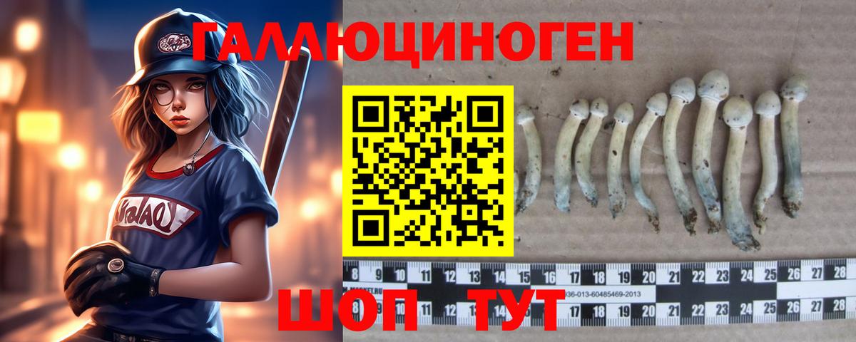 Псилоцибиновые грибы Psilocybine cubensis  Вход с VPN  Пенза 